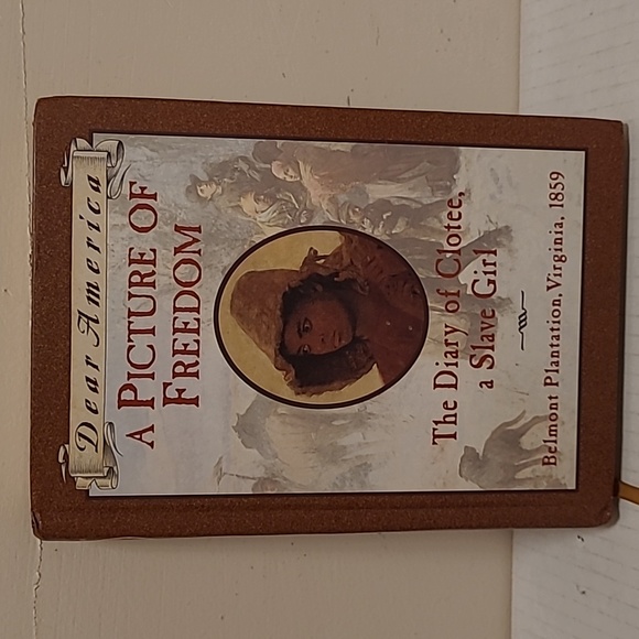 Set of 3 Dear America Books - Picture 2 of 16